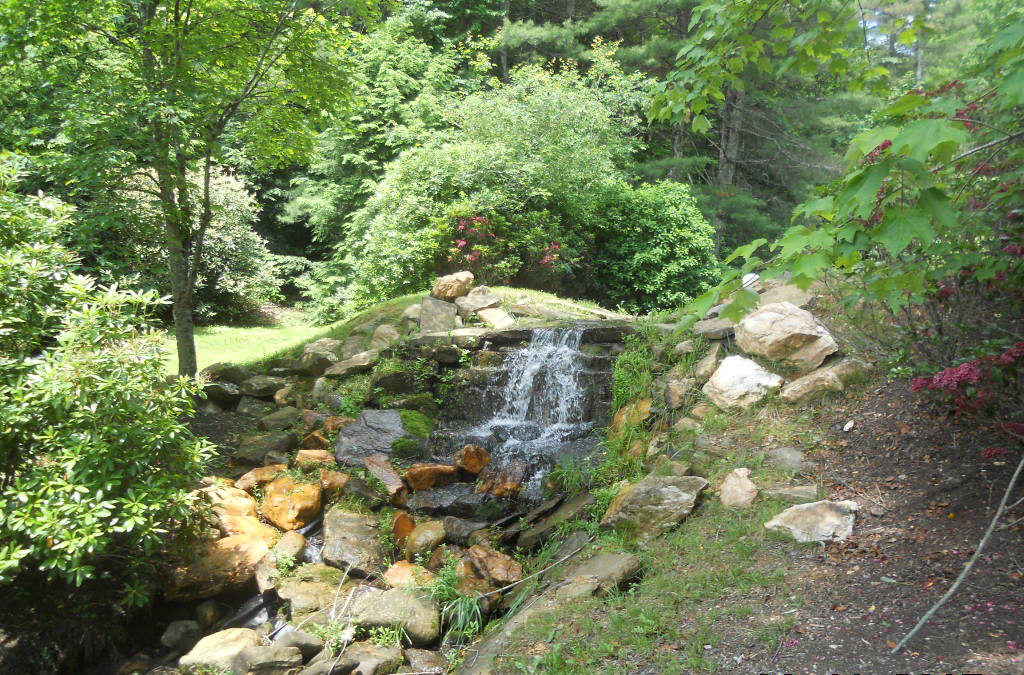 Carefree Cove Jeff's Realty